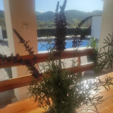 Villa Luce *